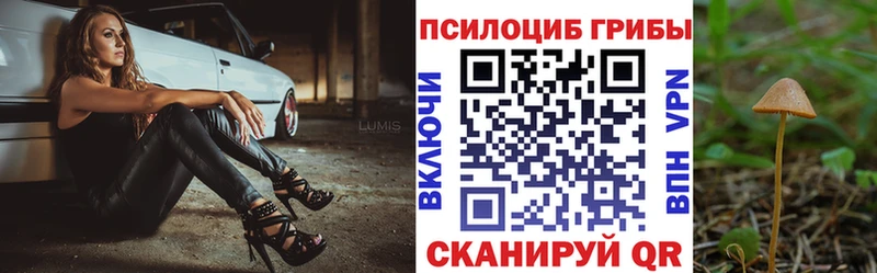 Галлюциногенные грибы Psilocybine cubensis  Новосибирск 